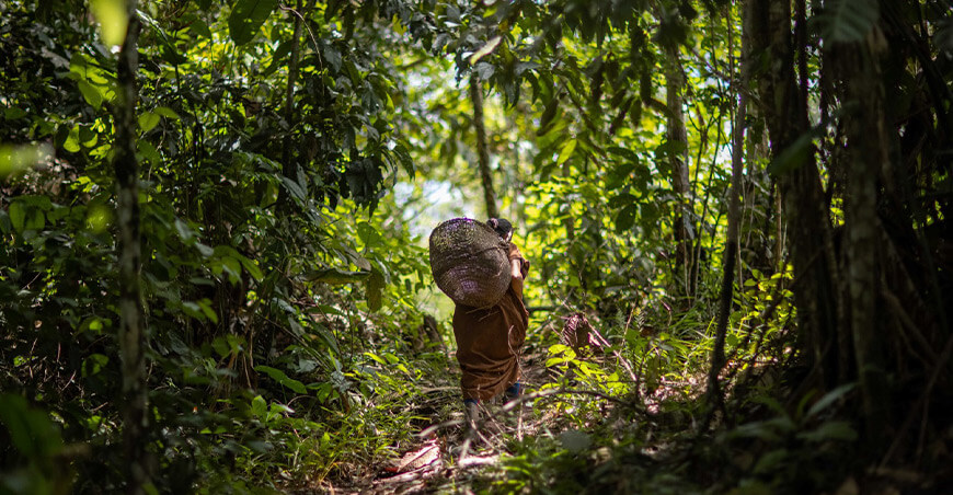 Perú comunidades nativas conservación de bosques amazónicos Perú