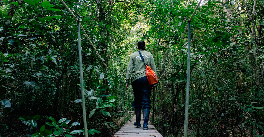 Estación Biológica Kawsay protege la biodiversidad de Tambopata y aporta a la meta global de conservación Perú