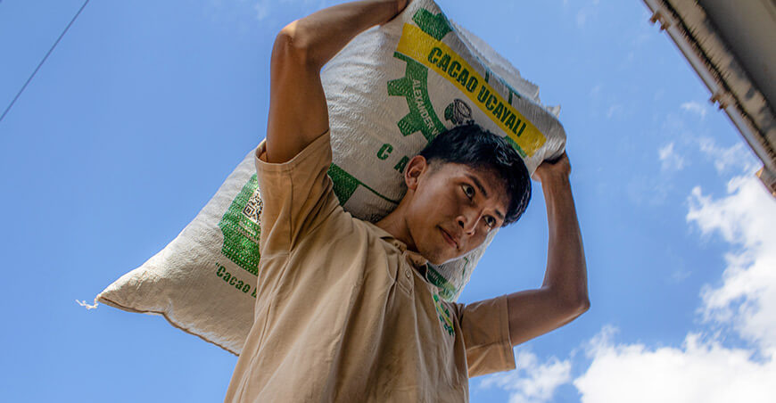 Cooperativas de Ucayali y Huánuco comercializan 40 toneladas de cacao con La Ibérica Devida Perú