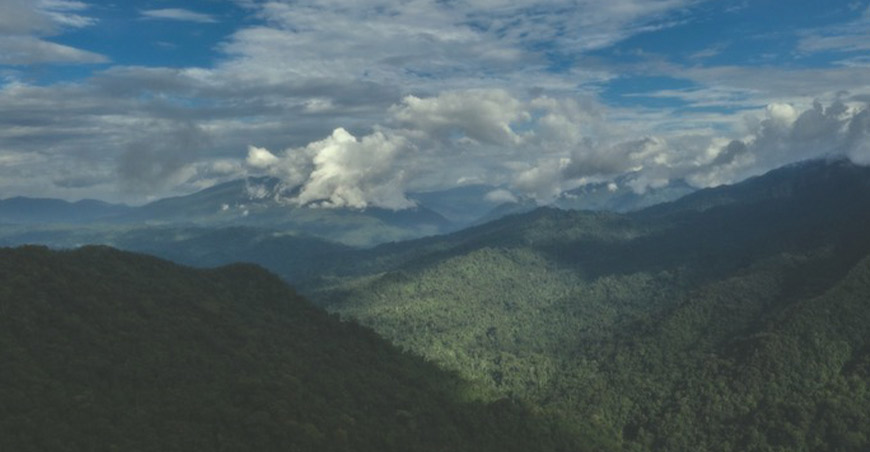 Aprueban la creación del Bosque de Protección Tijae-Río Nieva para conservar fuentes de agua y biodiversidad