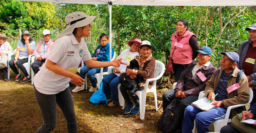 Más de 100 cafetaleros fortalecen sus conocimientos en jornada de campo organizada por Devida Cusco Perú