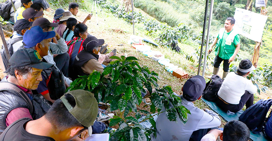 Cafetaleros mejoran productividad con asistencia técnica de De