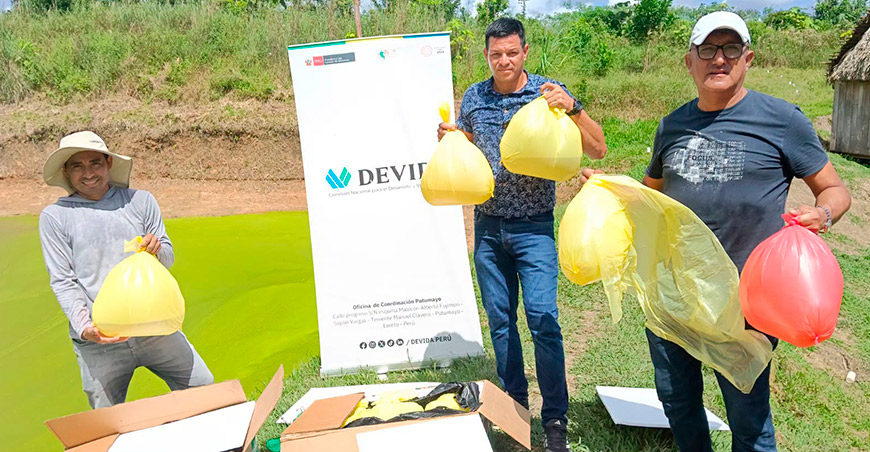 Devida 000 alevines de pez gamitana que serán sembrados Loreto Perú