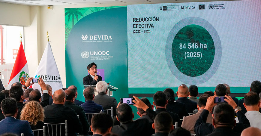 cultivo ilegal de hoja coca Devida Perú