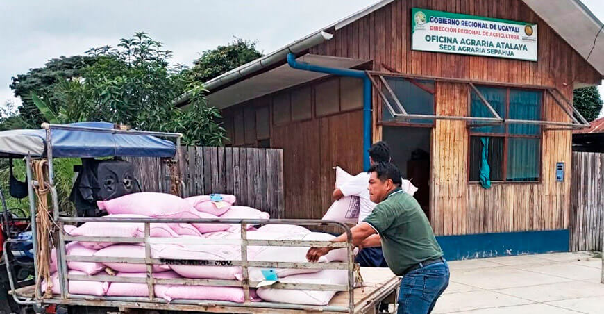 Distribuyen semillas de arroz y maíz para mejorar la producción agrícola en Atalaya Ucayali Perú