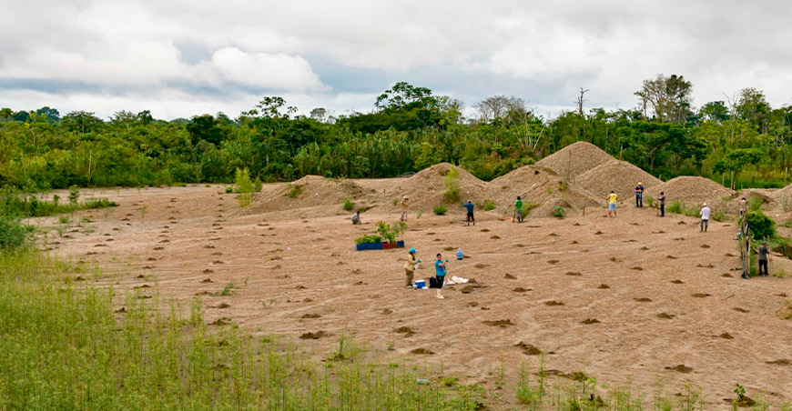 FAO reconoce tecnología del IIAP para recuperar suelos degradados por minería ilegal en Perú