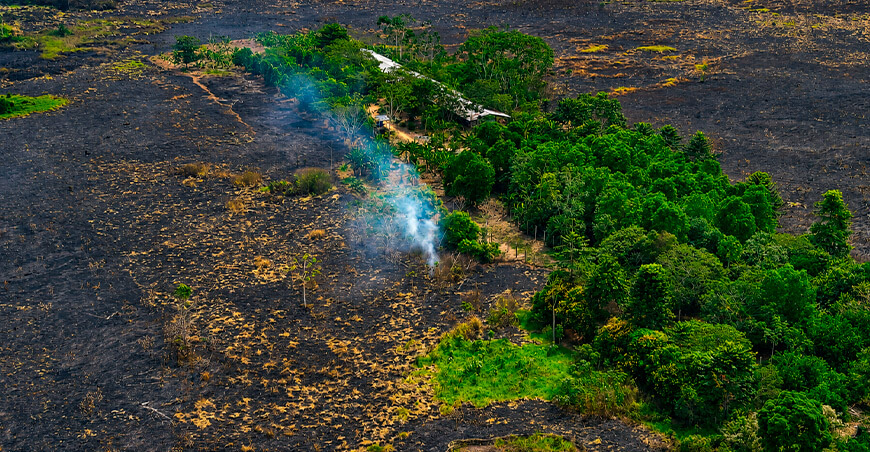 Perú incendios forestales