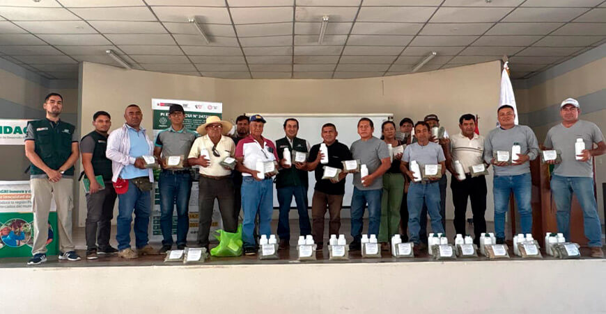 INIA distribuye bioinsumos para mitigar el impacto del Fusarium en zonas bananeras en Piura Perú