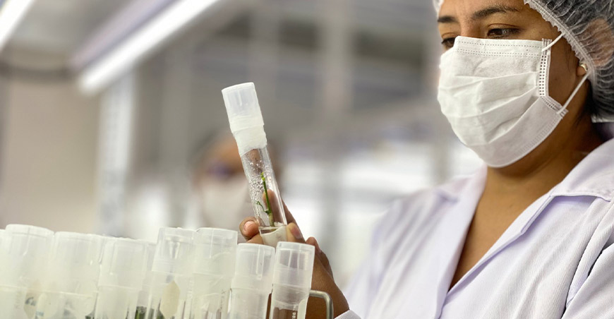 INIA Perú investigación agraria