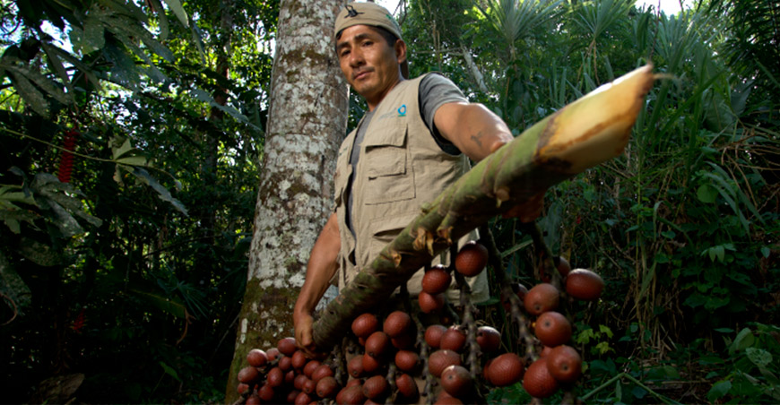 Minam presentó el Proyecto Corredor Económico Transversal Norte promoverá conservación de la biodiversidad en 6 regiones productor aguajes