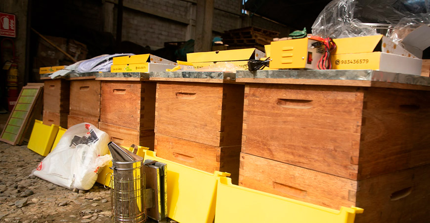 Devida entregó núcleos de abejas y equipos apícolas a productores de Junín Perú