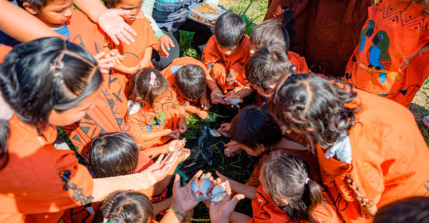 Estudiantes de Unión Asháninka conocen el proceso de producción de peces amazónicos Cusco Perú