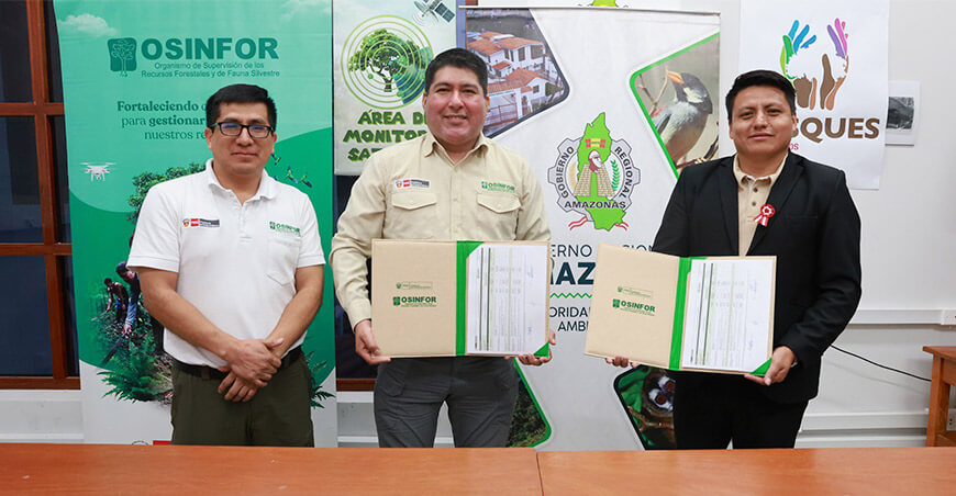 Amazonas inicia nueva etapa para el aprovechamiento sostenible de sus bosques mediante convenio entre Osinfor y UNTRM Perú