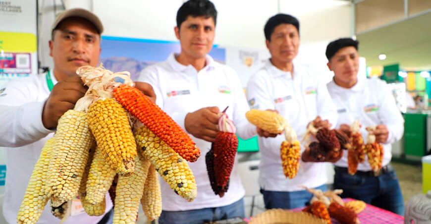 Chavín de Huántar demuestra que la innovación agrícola transforma el campo peruano Áncash Perú