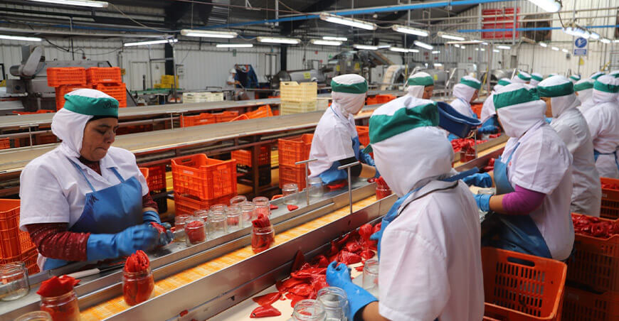 Perú exportación capsicum peruano 