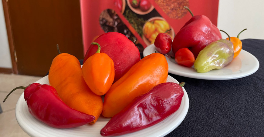 Perú exportación capsicum peruano