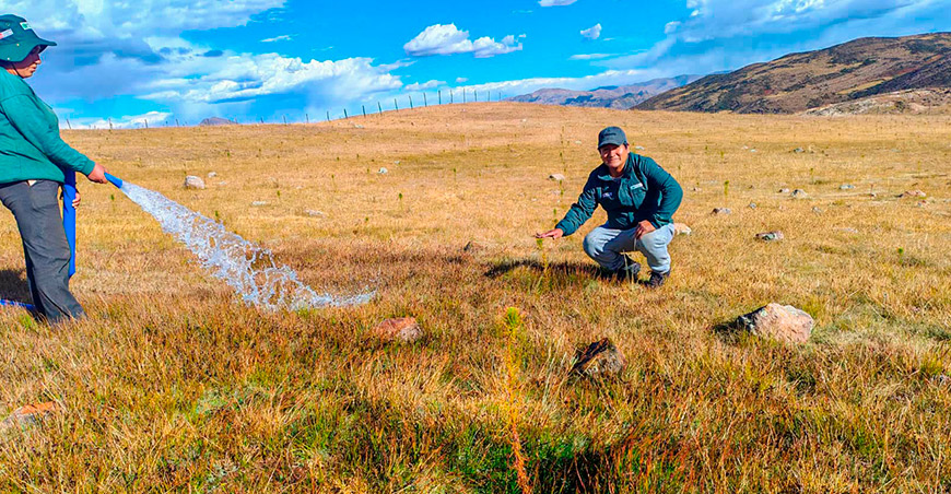 reforestación en Vilcas Huamán Ayacucho PESCS Perú