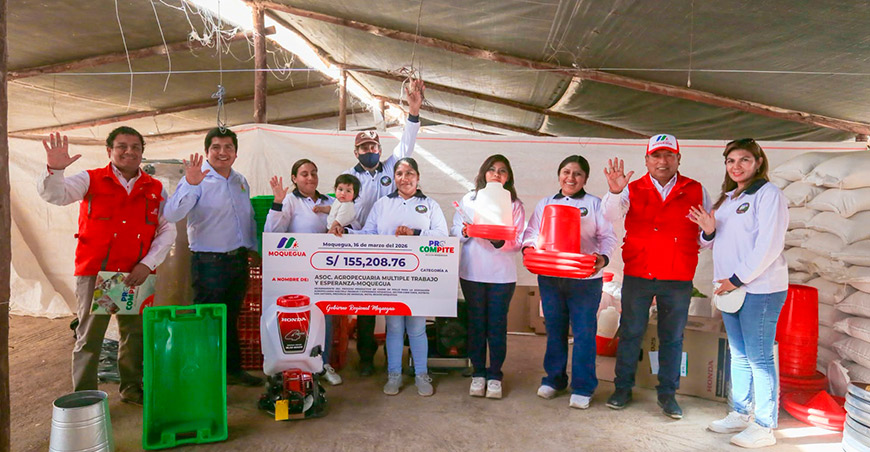 Procompite impulsa la producción de carne de pollo en Chen Chen Moquegua Perú
