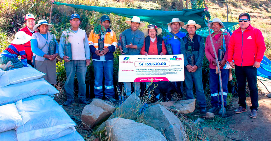 Procompite impulsa la expansión del cultivo de palto en Puquina Moquegua Perú