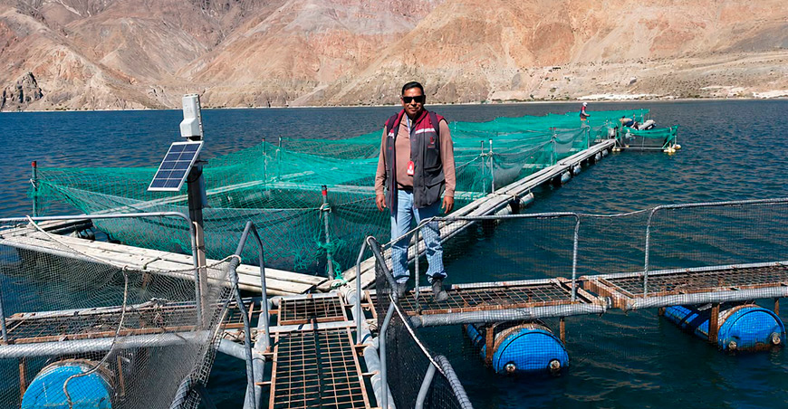 Fiscalización ambiental verifica centros de producción de trucha en la laguna de Aricota Tacna Perú 