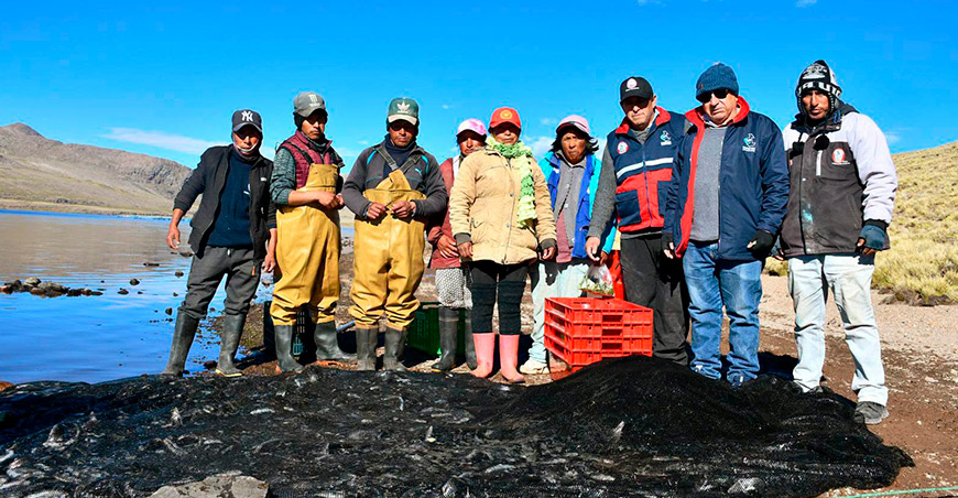 Asociación Riccharisun se consolida como referente en producción de truchas en Ayacucho Perú