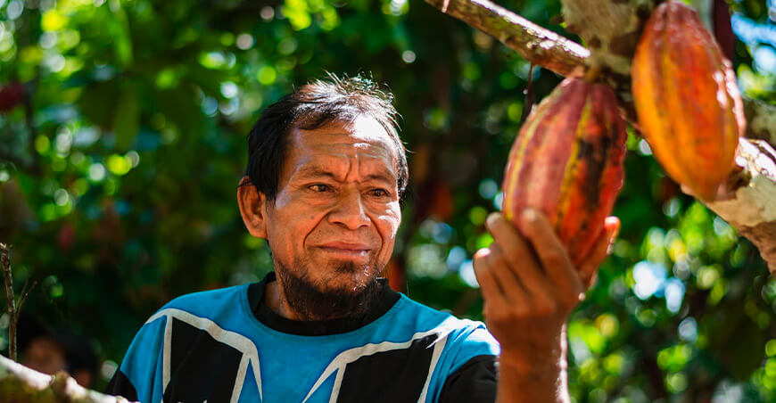 productores nativos de cacao sostenible conservan bosques amazónicos Perú Minam