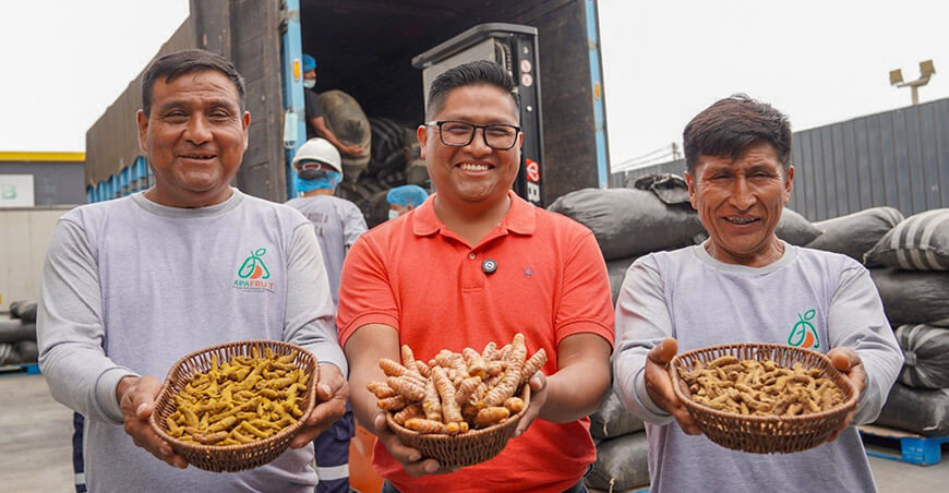 Productores venden cúrcuma Vraem Perú
