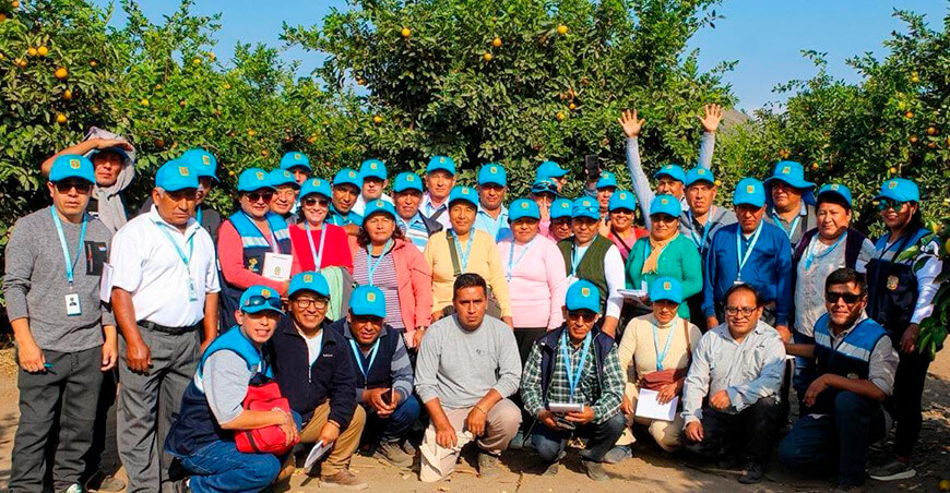 Productores de Tacna realizaron pasantía técnica en fundos citrícolas de Lima y Huaura