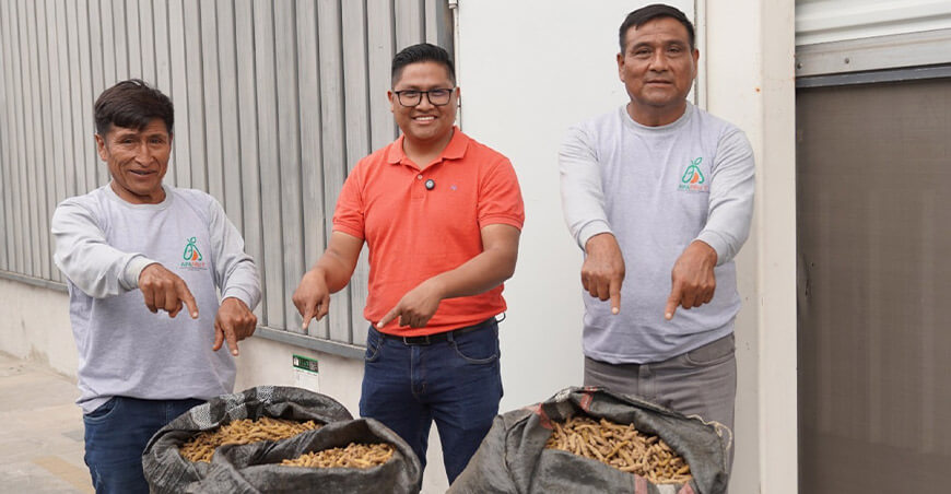 Productores venden cúrcuma Vraem Perú 