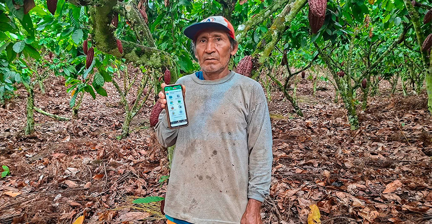 San Martín avanza en trazabilidad agraria con 56 256 parcelas geolocalizadas productor de cacao Perú