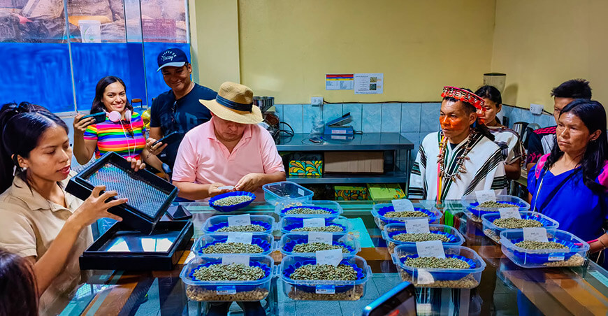 Comunidades nativas dinamizan la cadena del café y cacao y conservan bosques amazónicos en Ucayali Perú Programa Bosques del Ministerio del Ambiente