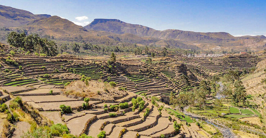 recuperación suelos agrarios degradados con andes Perú Agro Rural