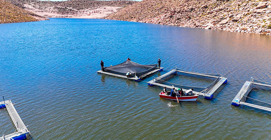 Represa Coltani favorece recuperación de ecosistemas altoandinos en Santa Cruz Ilabaya Tacna Perú