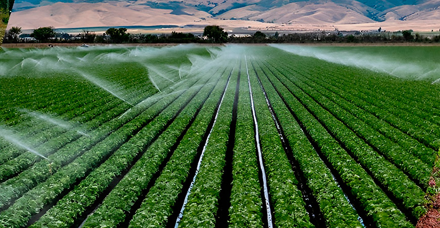 El agro peruano enfrenta el desafío de innovar para mantener su competitividad global