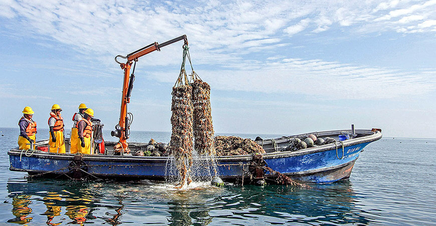 Sanipes entregó habilitaciones sanitarias a pescadores artesanales de Tacna Perú 