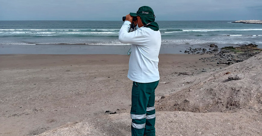 Despliegan estrategia integral para proteger la fauna marina ante el impacto de El Niño