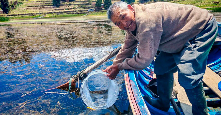 siembra de seis millones de alevinos de carachi en el lago Titicaca Puno Perú