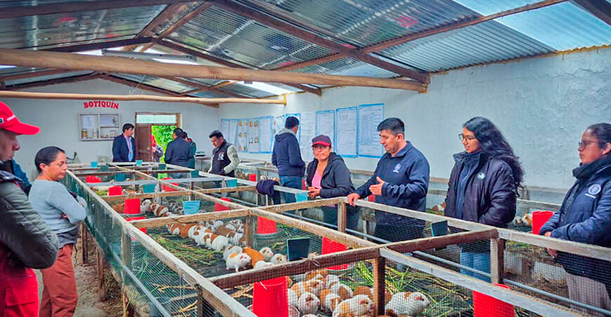 UNTRM Productores de la red Michi-no-Eki mejoran sus capacidades comerciales Amazonas Perú 