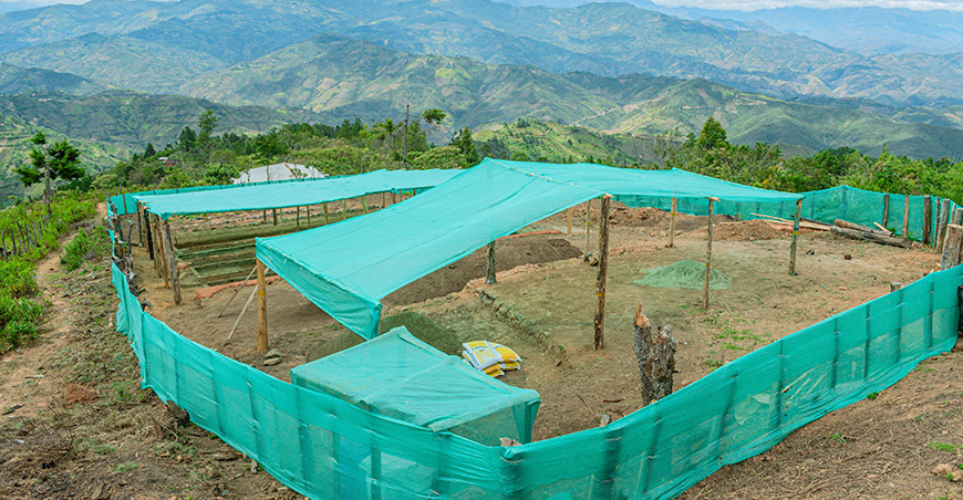 Implementan vivero que producirá plantones hortofrutícolas y forestales en Ayabaca Piura Perú