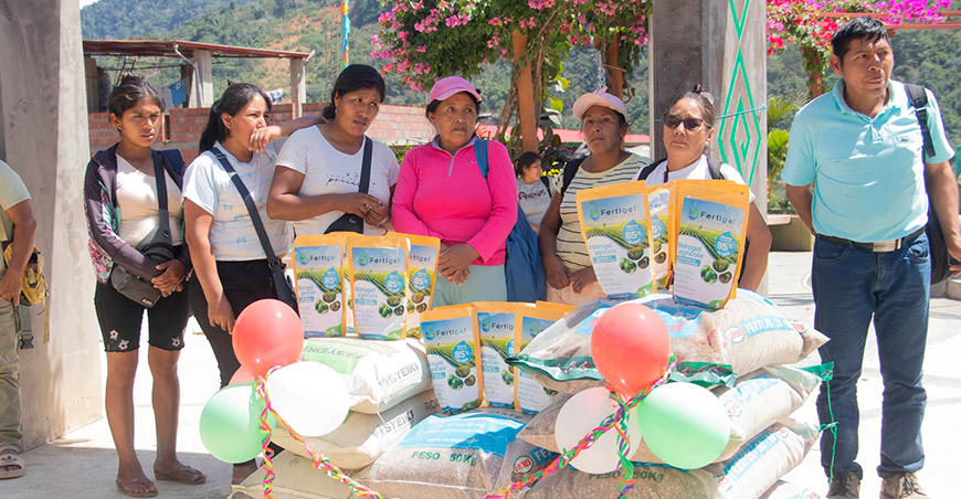 productores de Kumpirushiato mejoran su producción de cacao fino de aroma Cusco Perú