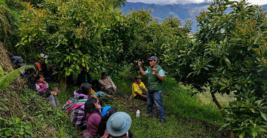 Agro Rural capacitación productores de palta