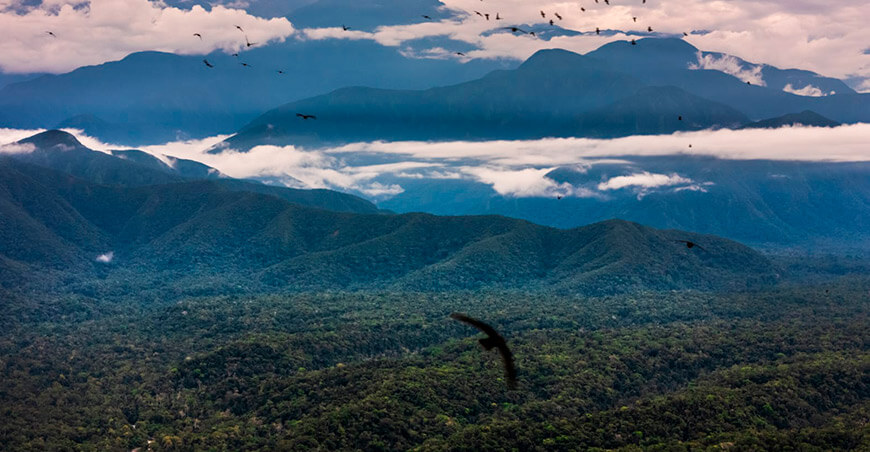 Cusco avanza en la protección de los Bosques del Araza, fuente de agua para el sur del Perú