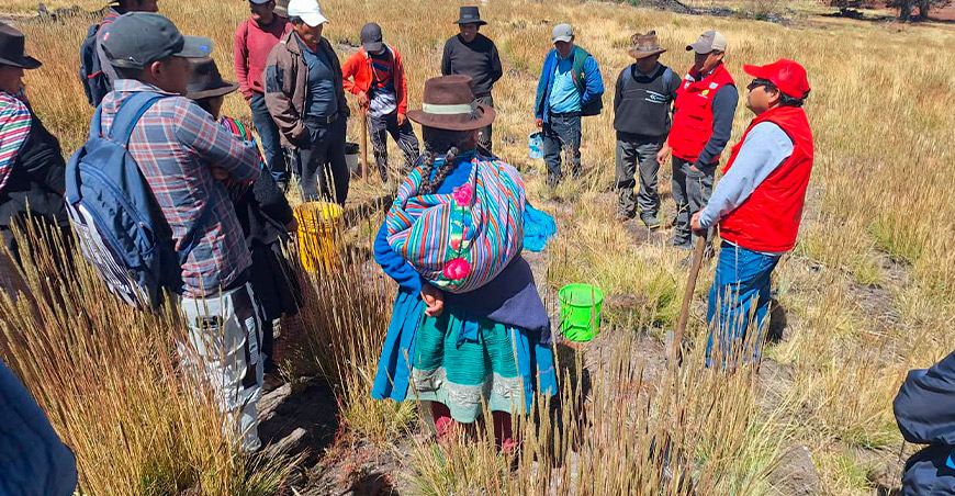 Recuperan 119 microcuencas para mejorar la regulación hídrica en 4 provincias de Ayacucho Perú