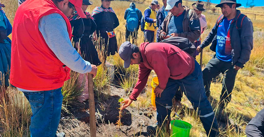 Recuperan 119 microcuencas para mejorar la regulación hídrica en 4 provincias de Ayacucho Perú