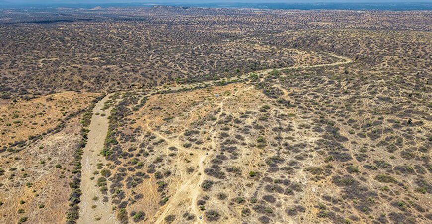 Bosques secos de la costa norte son aliados naturales frente a lluvias intensas