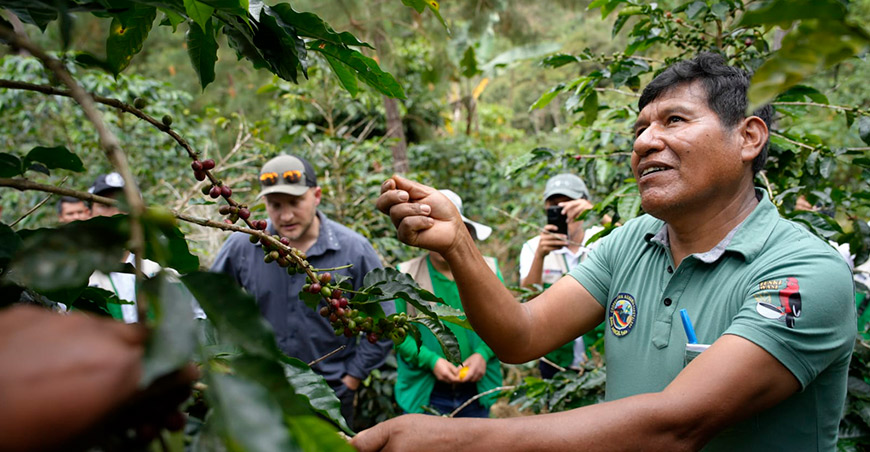 Cafés de Puno conquistaron París con nueve medallas