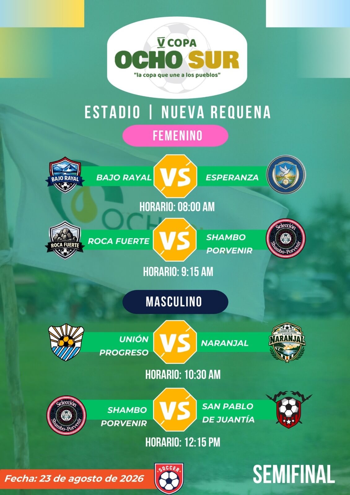 V Copa Ocho Sur