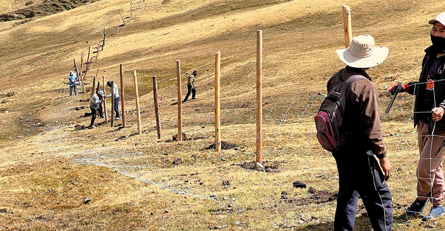 Instalan cercos para proteger bofedales en Huayapuquio Ayacucho Perú