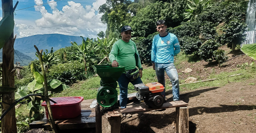 Comunidad awajún proyecta multiplicar por 12 su producción de café