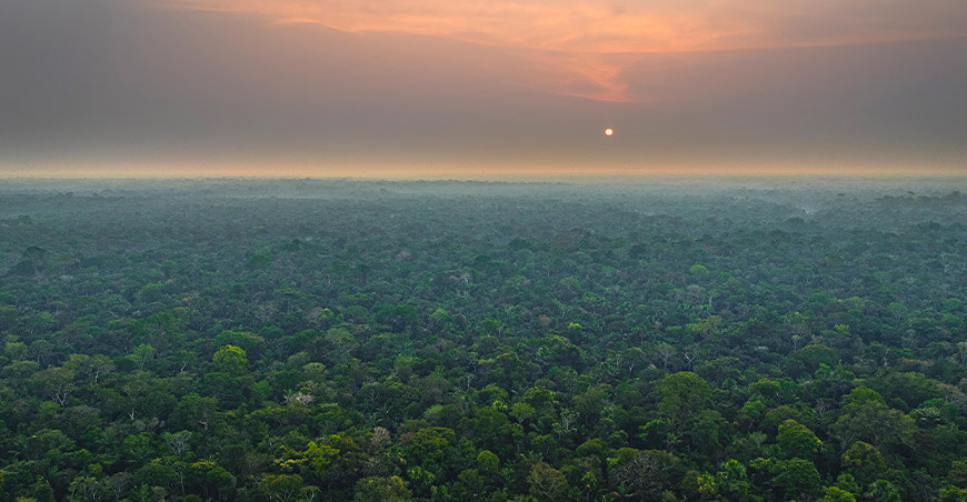 Conservarán más de 3.6 millones de hectáreas de bosques amazónicos Perú